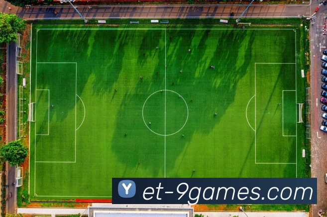 老哥九游官网APP 体育赛事宣传图